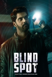 Blind Spot (2025) Hindi Dubbed Movie HDRip Download Blind Spot (2025) Hindi Dubbed Movie HDRip Download (2025)